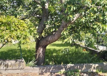 Quadrilocale Via Villafalletto, frazione San Benigno, Cuneo - foto 22
