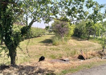 Farmhouse Via Torino, hamlet Madonna dell'Olmo, Cuneo - photo 17