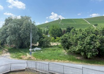 Cascina Via Carzello 13, Diano d'Alba - foto 4
