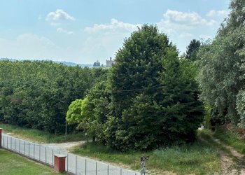 Cascina Via Carzello 13, Diano d'Alba - foto 5