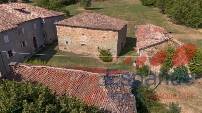 Rustico Montese - foto 3