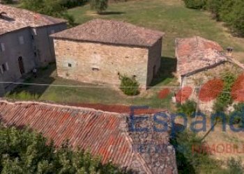 Rustico Montese - foto 3