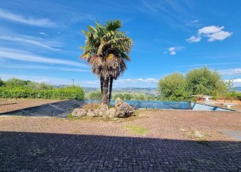 Foto 46 - Villa Contrada Bosco, Grottaminarda - foto 46