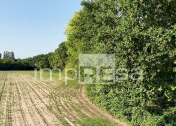Foto 16 - Terreno agricolo Viale M. Gandino, Treviso - foto 16