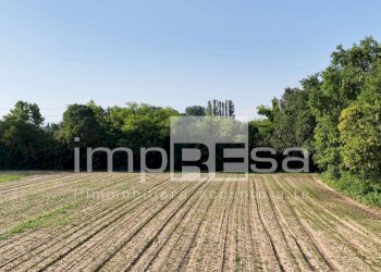 Foto 18 - Terreno agricolo Viale M. Gandino, Treviso - foto 18