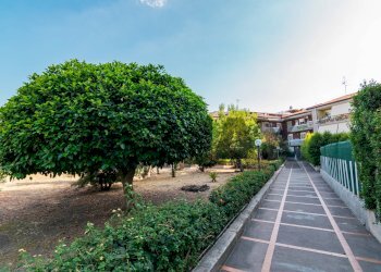 Giardino - One-room apartment Via XXI Aprile
 
47/49, Aci Castello - photo 24