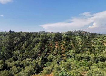 Vista delle montagne - Casa semi indipendente CONTRADA PRATO INFERIORE
 
23, Palmi - foto 58