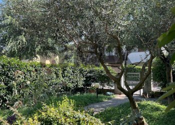 Giardino - Villa a Schiera VIA DON GIOVANNI BOSCO
 
234, Castel Goffredo - foto 22