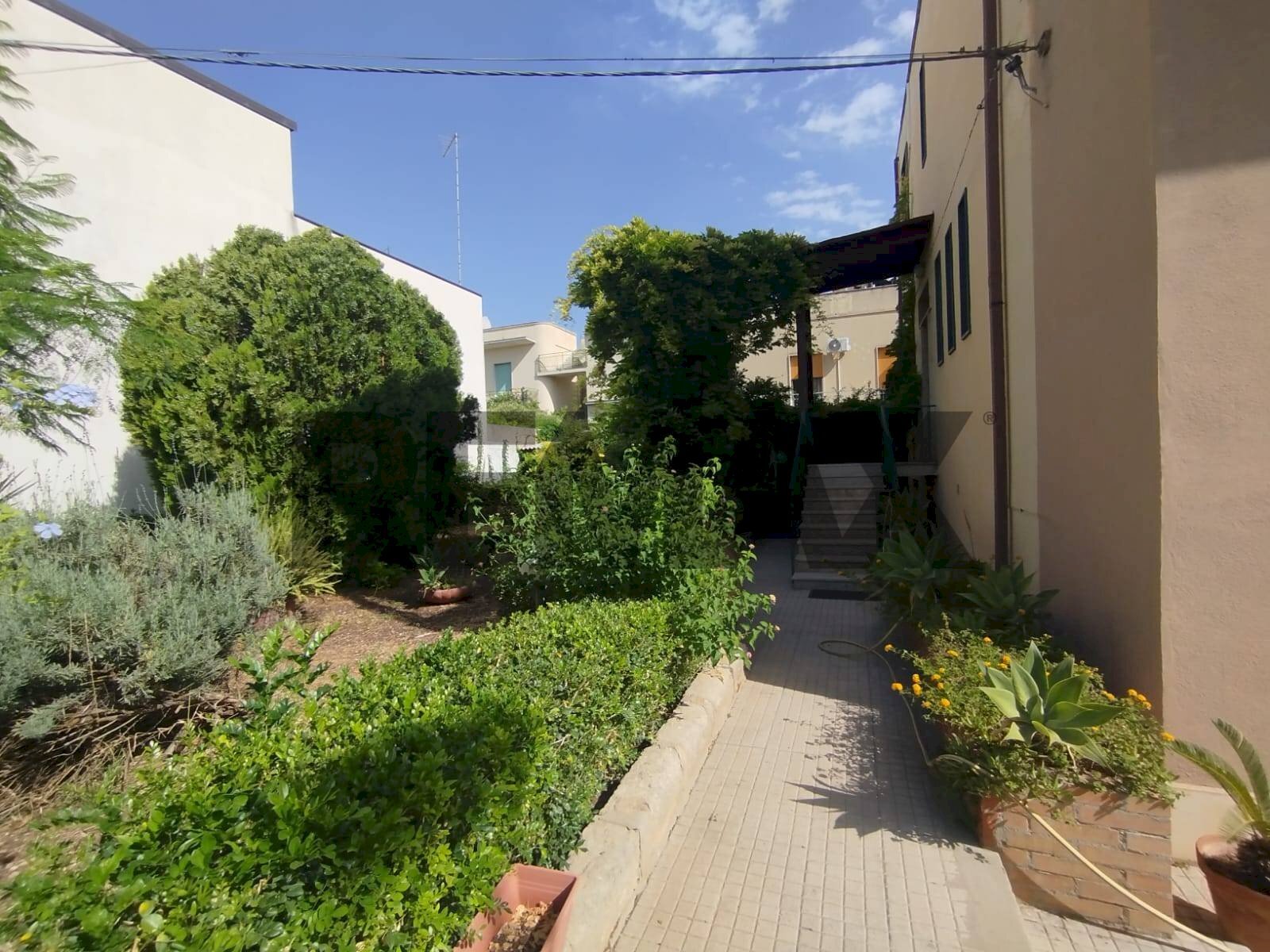 Giardino - Villa Via Mauceri
 
75, Avola - foto 2