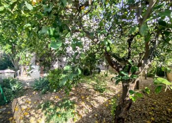 Giardino - Villa Via Mauceri
 
75, Avola - foto 5