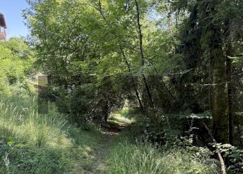 Giardino - Baita Via Rovaia
 
Snc, Belluno - foto 16