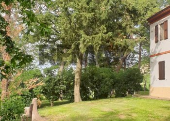Giardino - Independent house Via Sant'Amico
 
49, Morro d'Alba - photo 8