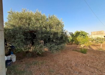 Giardino - Villa contrada randello STRADA PROVINCIALE 85 KM 4, 25
 
snc, Ragusa - foto 19
