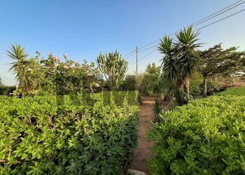Giardino - Villa contrada randello STRADA PROVINCIALE 85 KM 4, 25
 
snc, Ragusa - foto 31