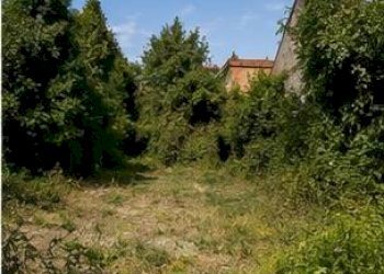 Foto 2 - Terreno edificabile via tosco romagnola
1650, Cascina - foto 2