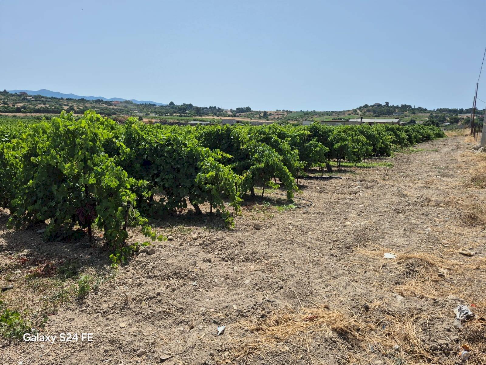 Foto 3 - Terreno agricolo via is ammostus, Quartu Sant'Elena - foto 3