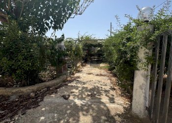 Giardino - Villa contrada Berbarello
 
439, Marsala - foto 6