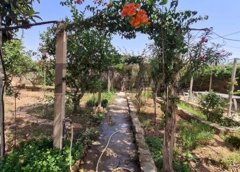 Giardino - Villa contrada Berbarello
 
439, Marsala - foto 20