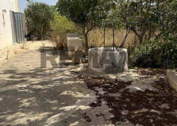 Giardino - Villa contrada Berbarello
 
439, Marsala - foto 22