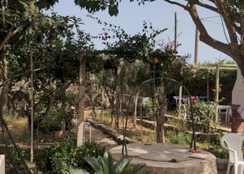 Giardino - Villa contrada Berbarello
 
439, Marsala - foto 28