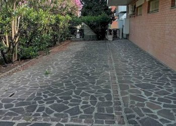 Giardino - Capannone via Magazzino, Carpi - foto 4