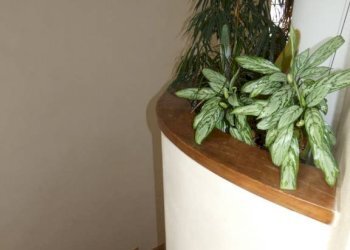 Interno palazzo - Appartamento via Pinin Balbo, Alba - foto 3