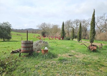 Foto 42 - Agriturismo Civitella Paganico - photo 42
