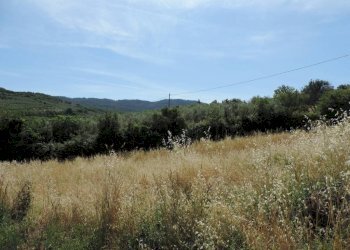 Terreno - Building land via San Martino, 60, Poggio Moiano - photo 8