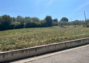 Terreno - Terreno edificabile via San Martino, 60, Poggio Moiano - foto 4