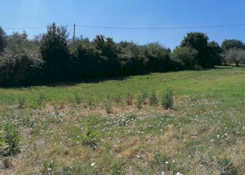 Terreno - Terreno edificabile via San Martino, 60, Poggio Moiano - foto 6
