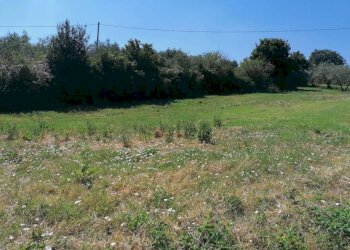 Terreno - Terreno edificabile via San Martino, 60, Poggio Moiano - foto 7