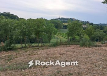 Terreno - Rustic contrada Fontevecchia, 1, Mondavio - photo 12
