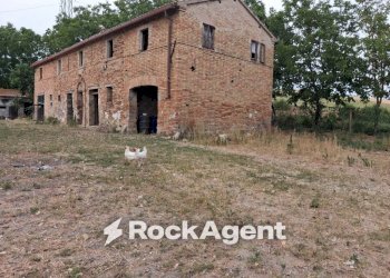Terreno - Rustic contrada Fontevecchia, 1, Mondavio - photo 15