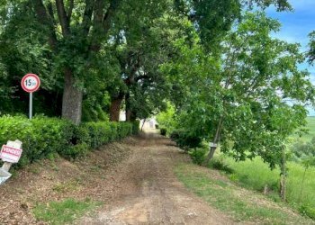 Terreno - Rustico contrada Bottaccio, 8, Mondavio - foto 2
