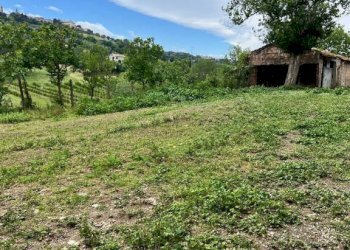 Terreno - Rustico contrada Bottaccio, 8, Mondavio - foto 6