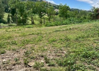 Terreno - Rustic contrada Bottaccio, 8, Mondavio - photo 8