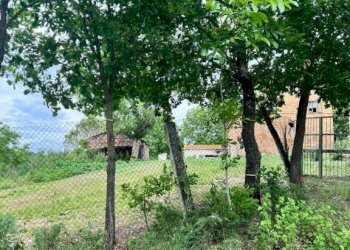 Terreno - Rustico contrada Bottaccio, 8, Mondavio - foto 10
