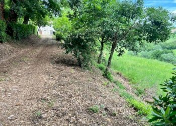 Terreno - Rustico contrada Bottaccio, 8, Mondavio - foto 14