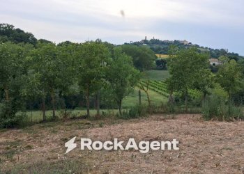 Terreno - Rustico contrada Bottaccio, 8, Mondavio - foto 20