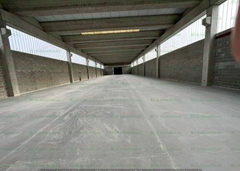 Interno non residenziale - Shed via Francesca, Ciserano - photo 5