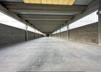 Interno non residenziale - Shed via Francesca, Ciserano - photo 10
