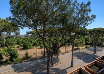 Vista - Apartment viale dei Promontori, 440, Roma (neighborhood Lido di Ostia) - photo 8