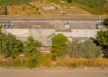 vista - Commercial Premises Km 31, 800, Sammichele di Bari - photo 6