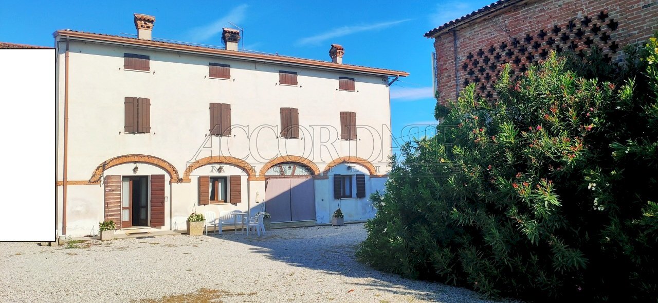 IMG20250904091832-1.jpg - Casa indipendente Via borgo, Longare - foto 1