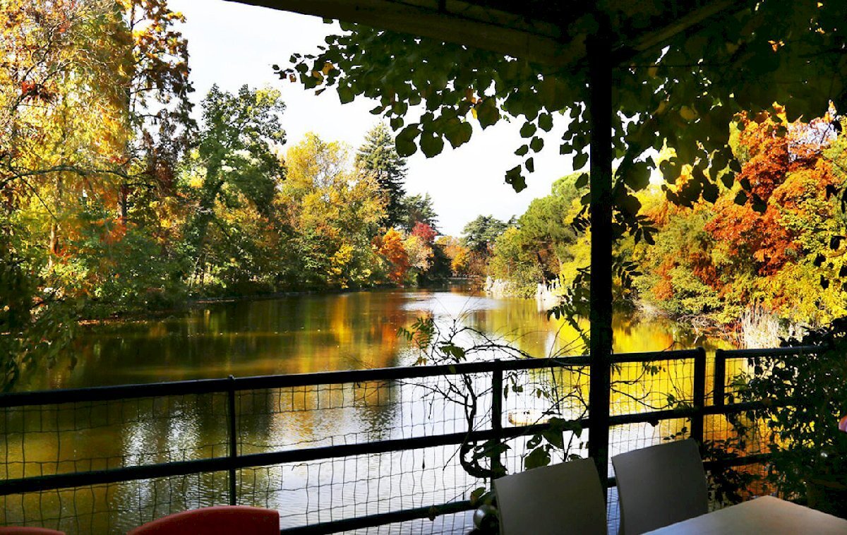 giardini-margherita-bologna - Casa indipendente Bologna (zona Centro Storico) - foto 3