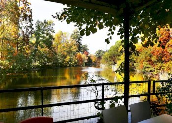 giardini-margherita-bologna - Casa indipendente Bologna (zona Centro Storico) - foto 3