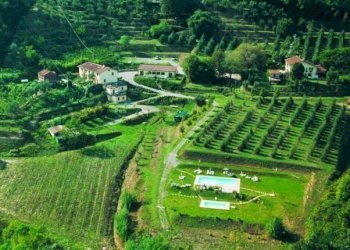 FOTO DALL\'ALTO 3.jpg - Bed & Breakfast Via dei Pieroni, Capannori - foto 2