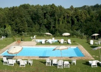2399_4.jpg - Bed & Breakfast Via dei Pieroni, Capannori - foto 3