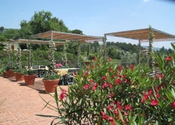 2399_2.jpg - Bed & Breakfast Via dei Pieroni, Capannori - foto 4