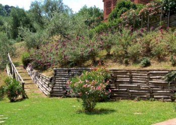 DSCF0823.jpg - Bed & Breakfast Via dei Pieroni, Capannori - foto 15